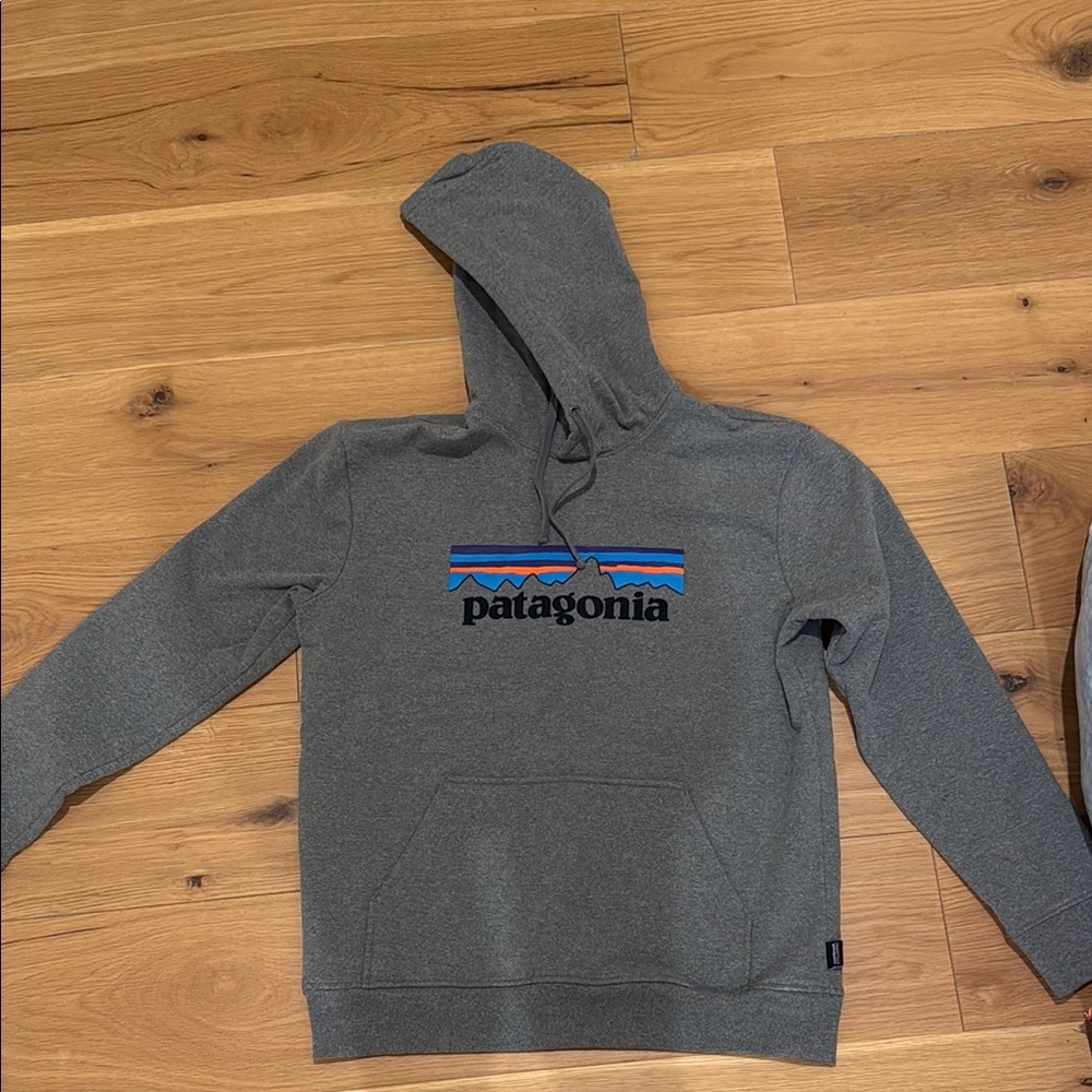 Gray Patagonia Sweatshirt Hoodie